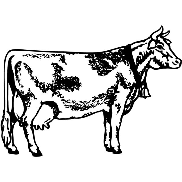 COW031 Thumbnail
